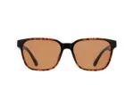 Spect Red Bull Eliot Sunglasses Shiny Havana w Brown lens
