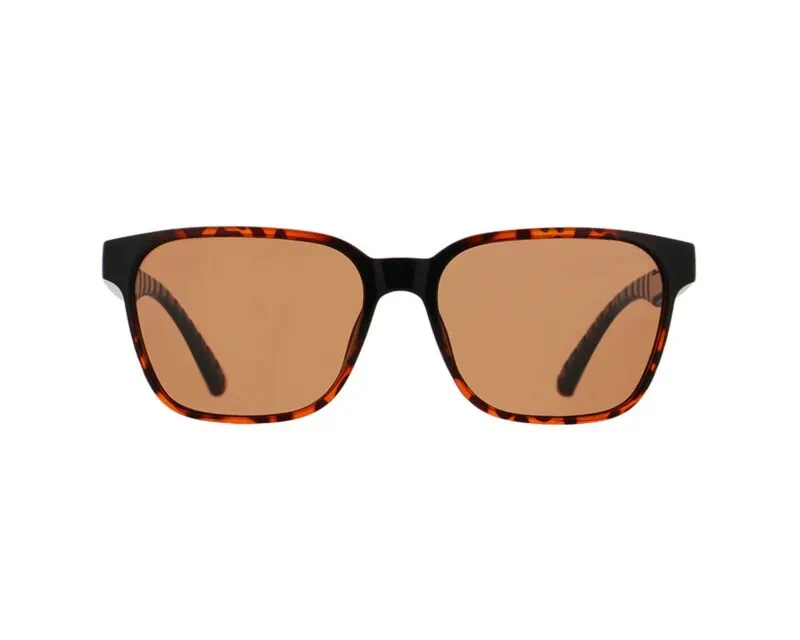 674-25009b Spect Red Bull Eliot Sunglasses Shiny Havana w Brown lens