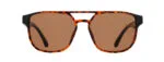 Spect Red Bull Elroy Sunglasses Shiny Havana w Brown lens