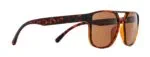 Spect Red Bull Elroy Sunglasses Shiny Havana w Brown lens