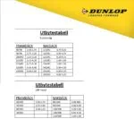 Dunlop Slang 60/100-12 TR4 MOT MX 2 - 12"